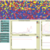 Intertidal Zone Crab Species Distribution Model preview image