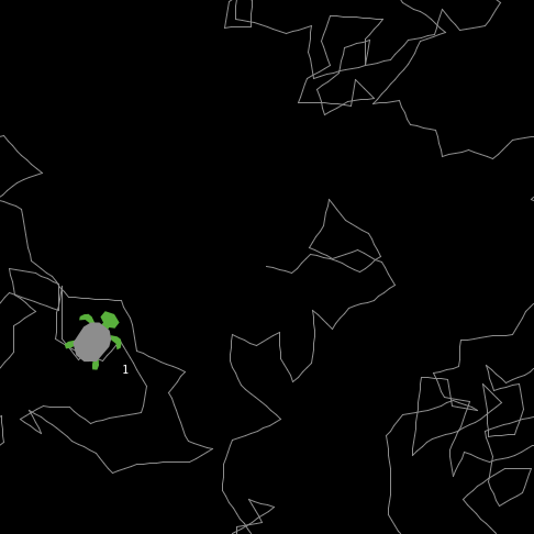 Turtles and Conditional Probability preview image